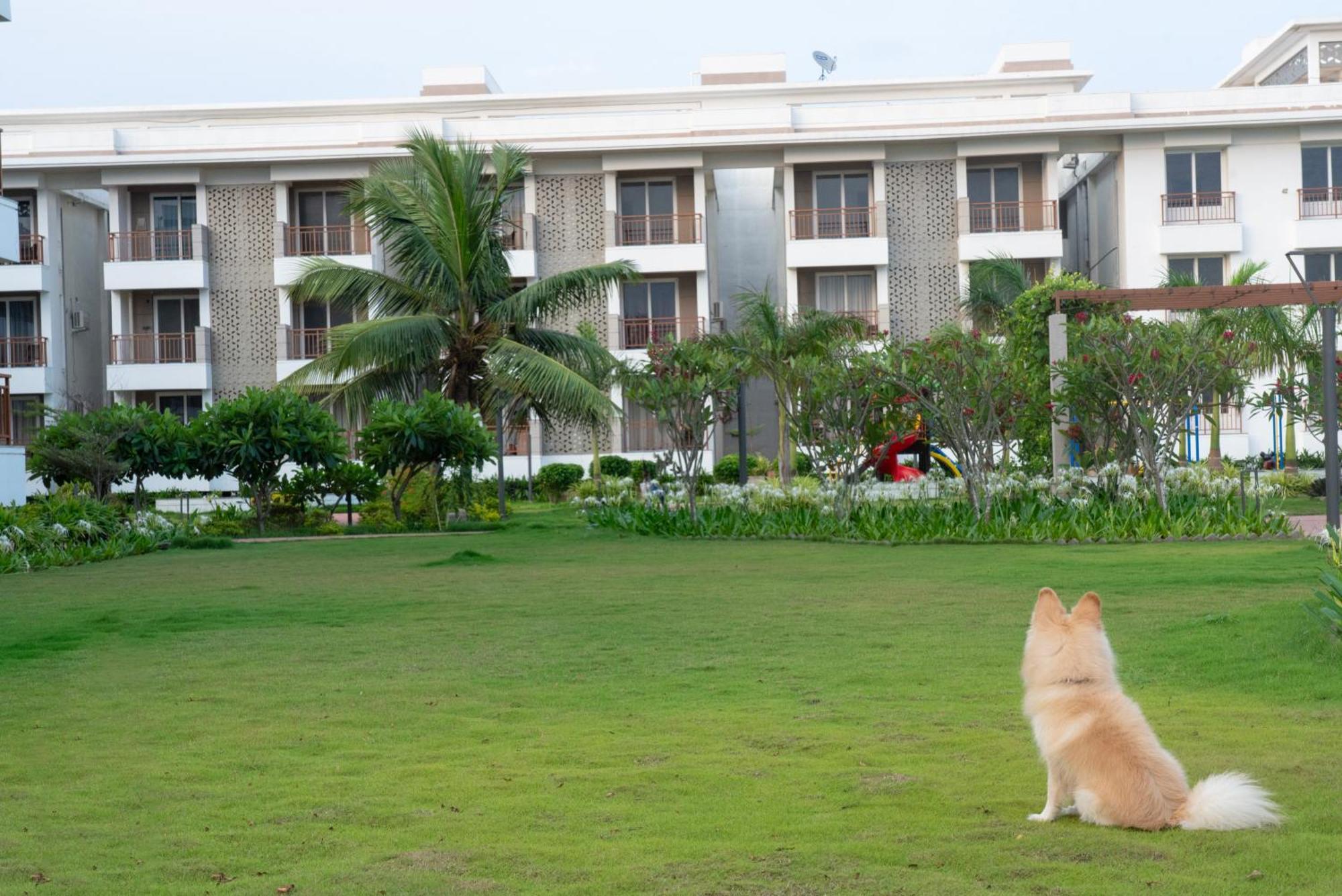 Palm Regal Resort Gopālpur المظهر الخارجي الصورة