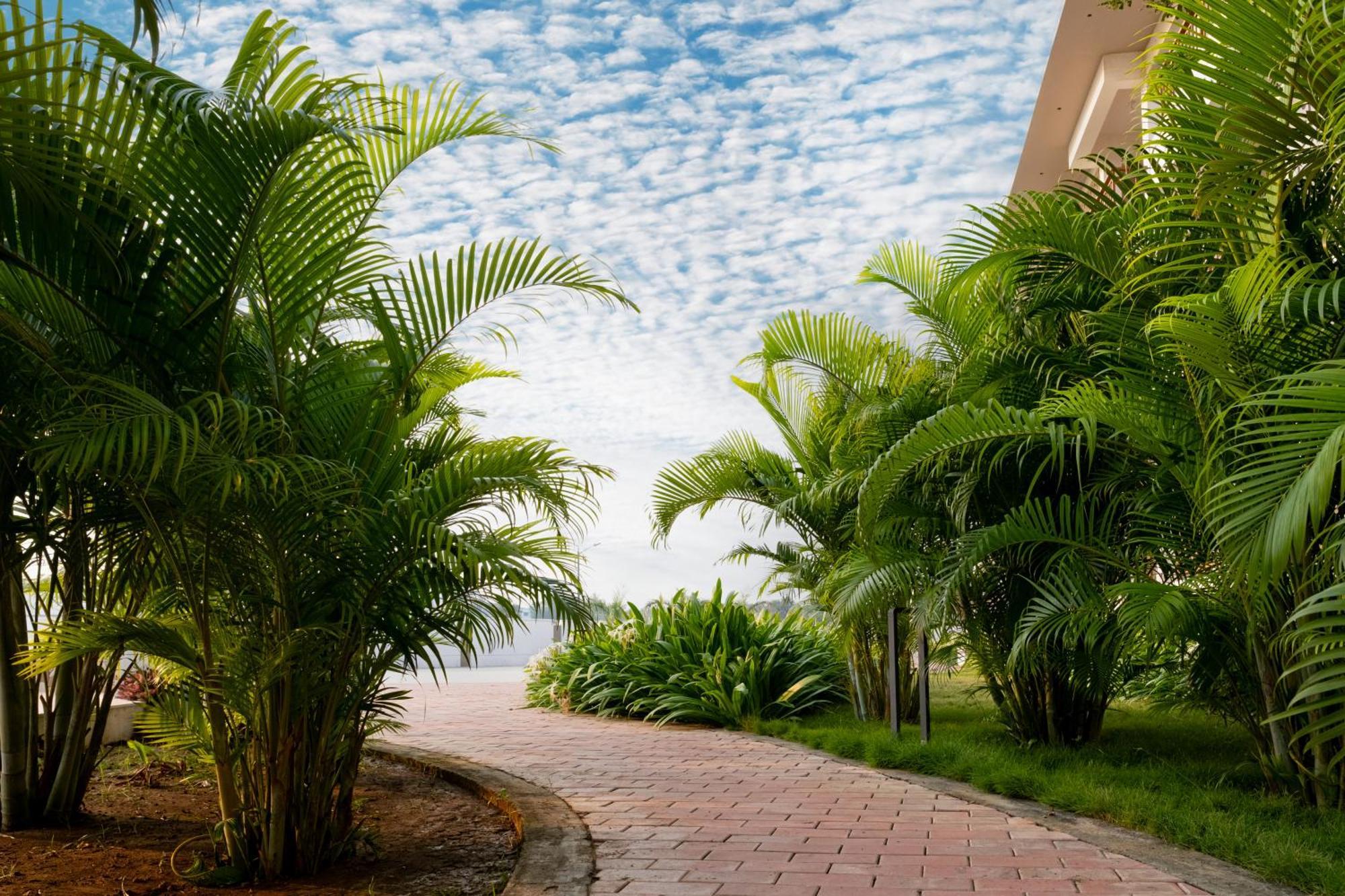 Palm Regal Resort Gopālpur المظهر الخارجي الصورة